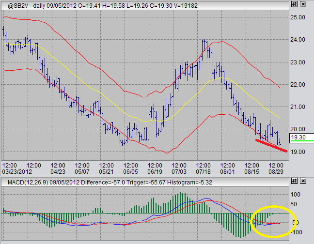 sugar futures